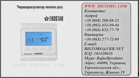 Терморегулятор terneo pro